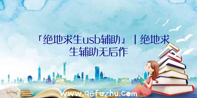 「绝地求生usb辅助」|绝地求生辅助无后作